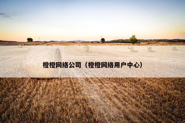 橙橙网络公司（橙橙网络用户中心）