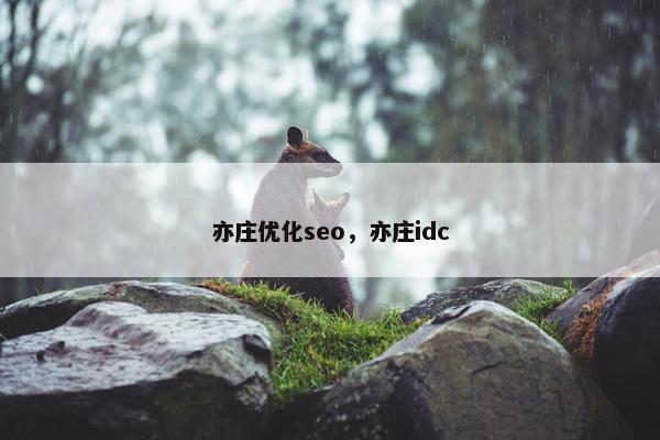 亦庄优化seo，亦庄idc