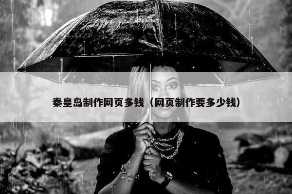 秦皇岛制作网页多钱（网页制作要多少钱）