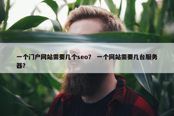 一个门户网站需要几个seo？ 一个网站需要几台服务器？