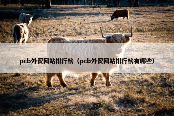 pcb外贸网站排行榜（pcb外贸网站排行榜有哪些）