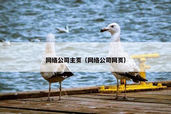 网络公司主页（网络公司网页）