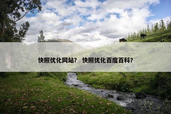 快照优化网站？ 快照优化百度百科？