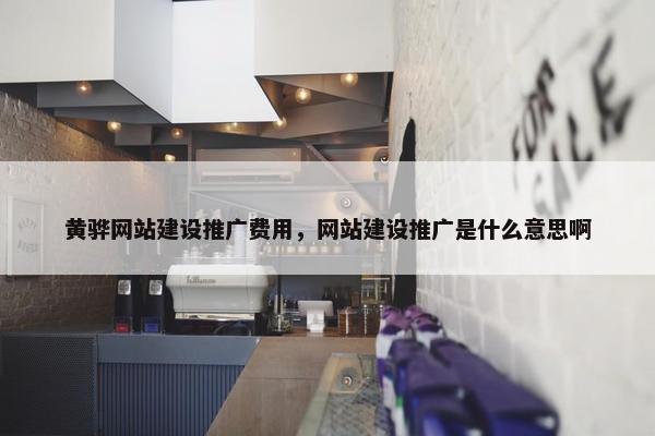 黄骅网站建设推广费用，网站建设推广是什么意思啊
