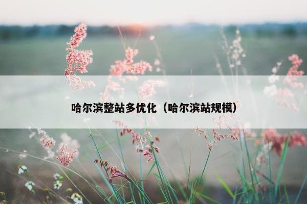 哈尔滨整站多优化（哈尔滨站规模）