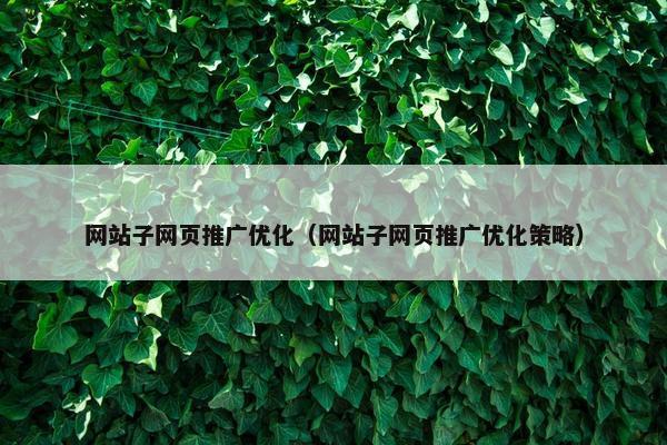 网站子网页推广优化（网站子网页推广优化策略）