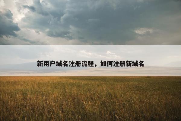 新用户域名注册流程，如何注册新域名