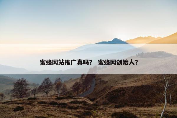 蜜蜂网站推广真吗？ 蜜蜂网创始人？