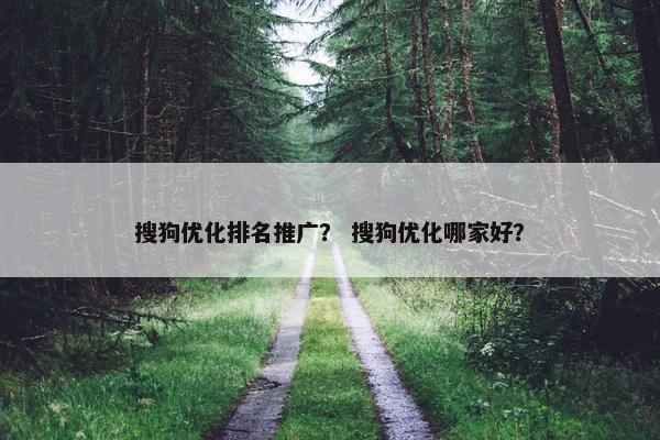 搜狗优化排名推广？ 搜狗优化哪家好？