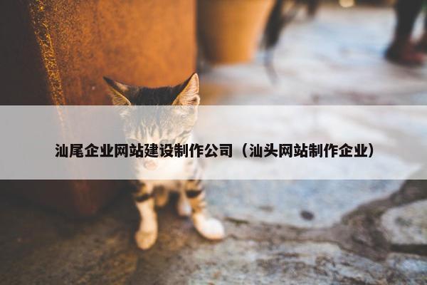 汕尾企业网站建设制作公司（汕头网站制作企业）