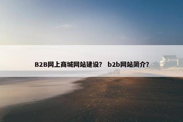 B2B网上商城网站建设？ b2b网站简介？