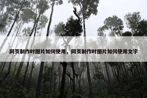 网页制作时图片如何使用，网页制作时图片如何使用文字