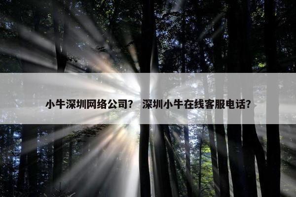 小牛深圳网络公司？ 深圳小牛在线客服电话？