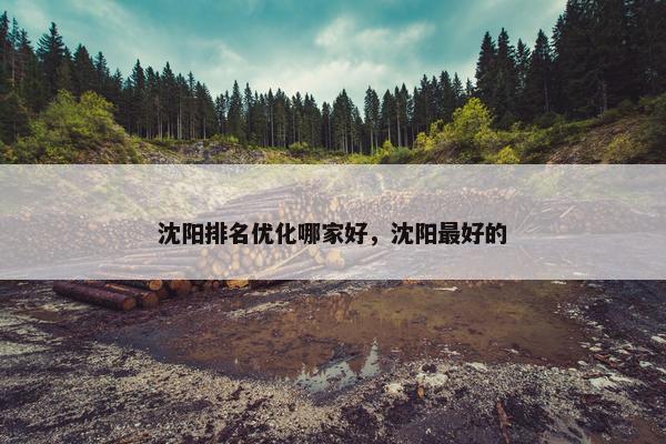 沈阳排名优化哪家好，沈阳最好的