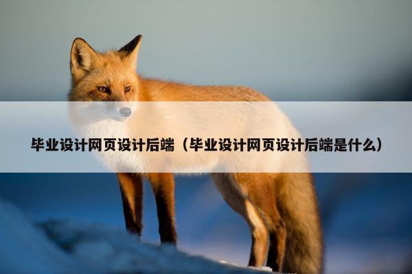 毕业设计网页设计后端（毕业设计网页设计后端是什么）