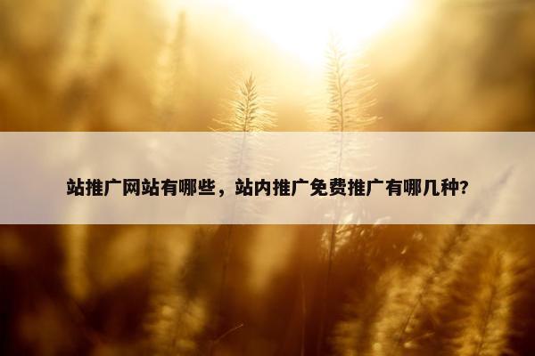 站推广网站有哪些，站内推广免费推广有哪几种?