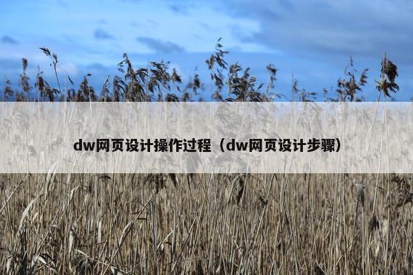 dw网页设计操作过程（dw网页设计步骤）