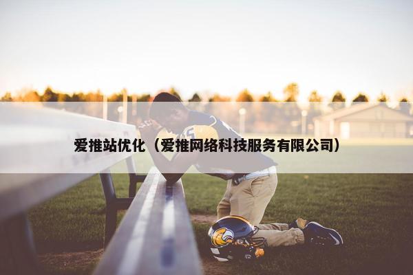 爱推站优化（爱推网络科技服务有限公司）