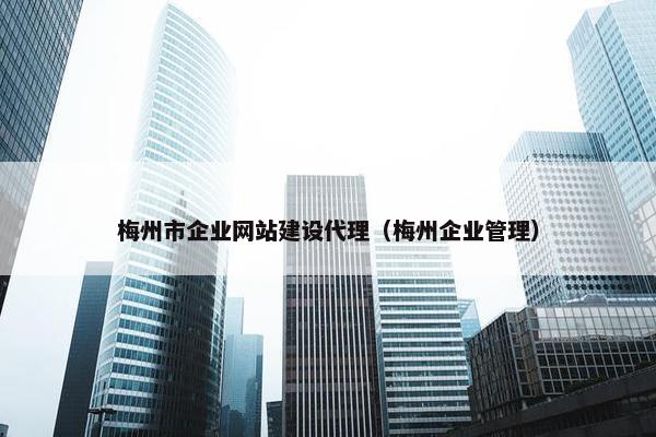 梅州市企业网站建设代理（梅州企业管理）