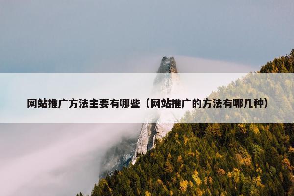 网站推广方法主要有哪些（网站推广的方法有哪几种）