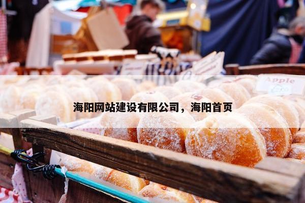 海阳网站建设有限公司，海阳首页