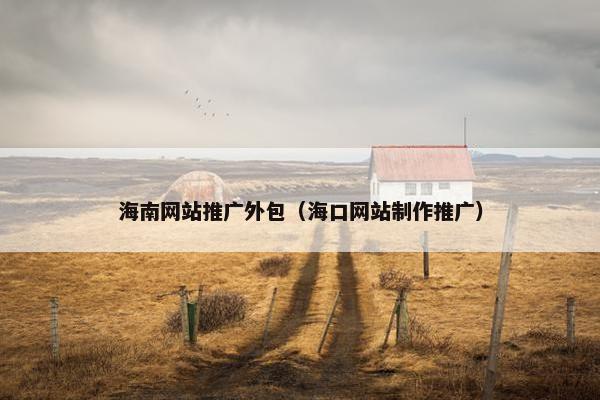 海南网站推广外包（海口网站制作推广）
