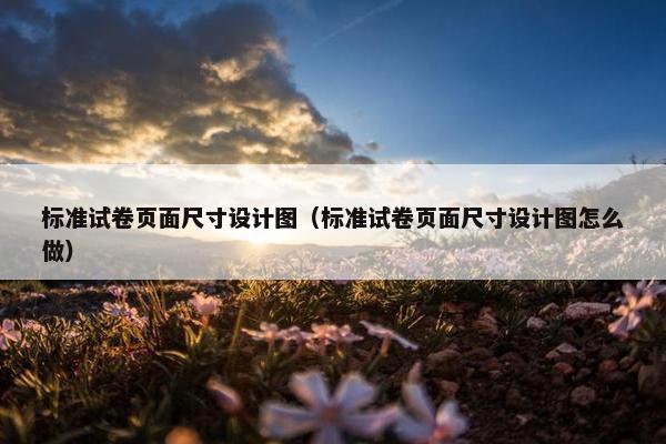 标准试卷页面尺寸设计图（标准试卷页面尺寸设计图怎么做）