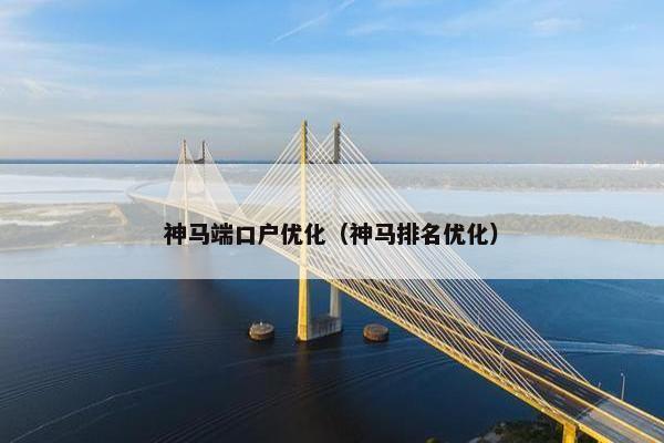 神马端口户优化（神马排名优化）