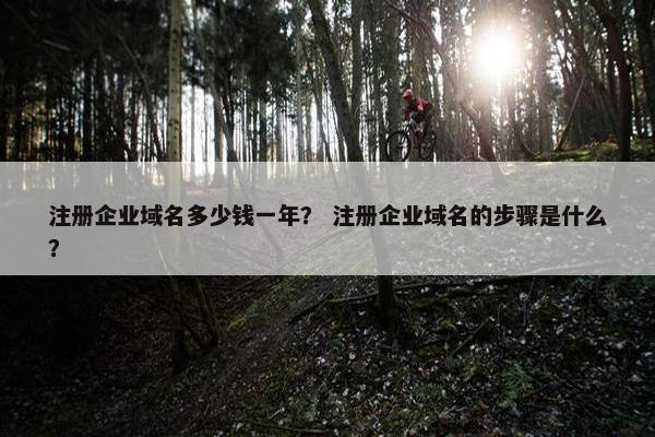 注册企业域名多少钱一年？ 注册企业域名的步骤是什么？