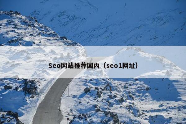 Seo网站推荐国内（seo1网址）