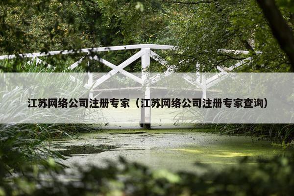 江苏网络公司注册专家（江苏网络公司注册专家查询）