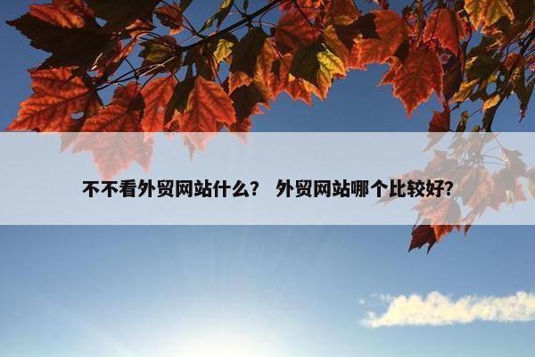 不不看外贸网站什么？ 外贸网站哪个比较好？