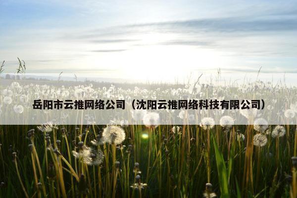 岳阳市云推网络公司（沈阳云推网络科技有限公司）