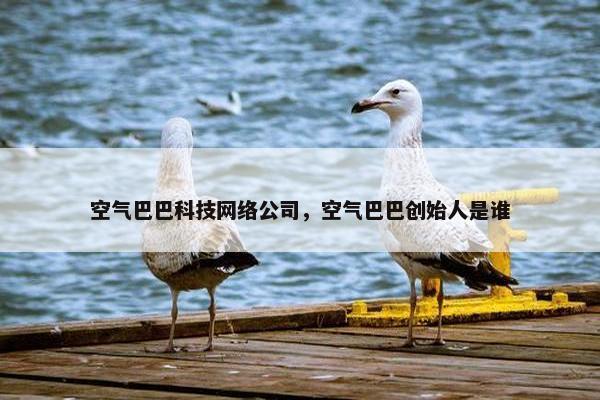 空气巴巴科技网络公司，空气巴巴创始人是谁