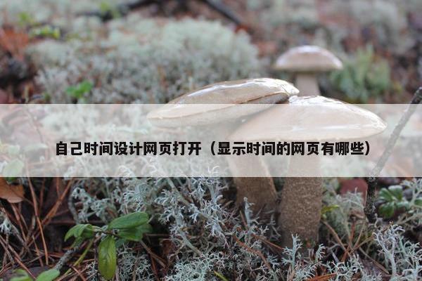 自己时间设计网页打开（显示时间的网页有哪些）