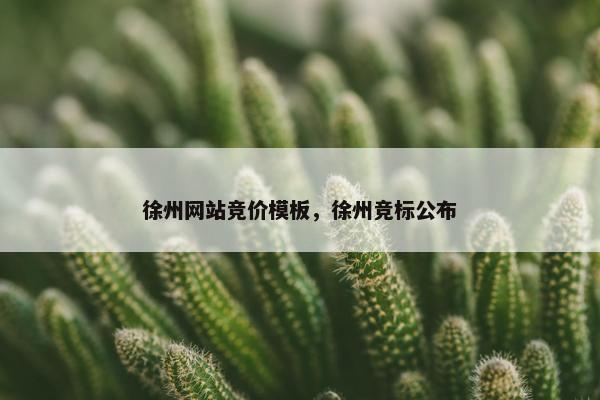 徐州网站竞价模板，徐州竞标公布