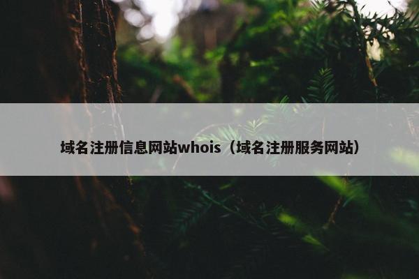 域名注册信息网站whois（域名注册服务网站）