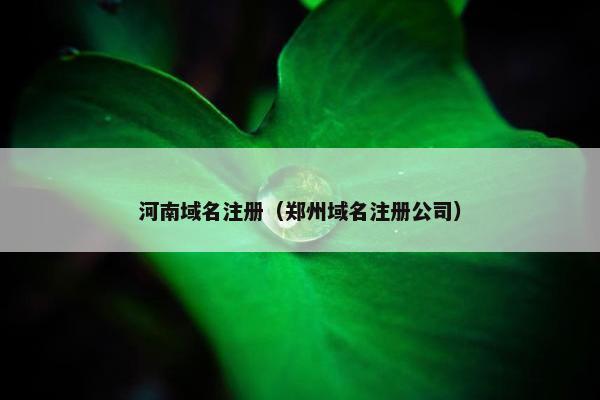 河南域名注册（郑州域名注册公司）