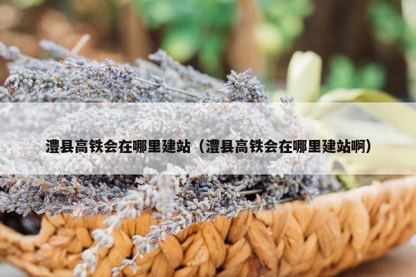 澧县高铁会在哪里建站（澧县高铁会在哪里建站啊）