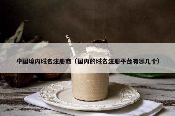 中国境内域名注册商（国内的域名注册平台有哪几个）