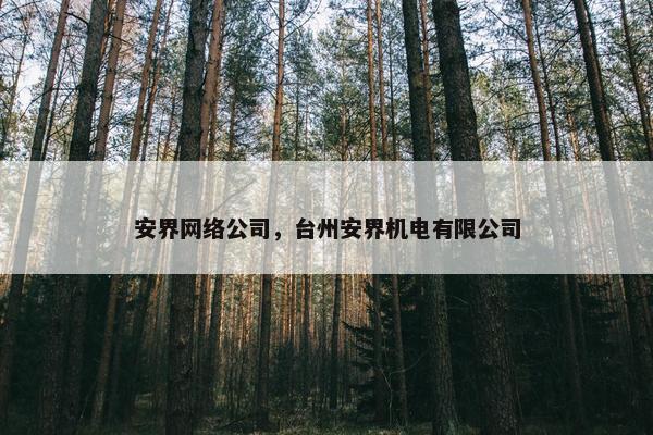 安界网络公司，台州安界机电有限公司