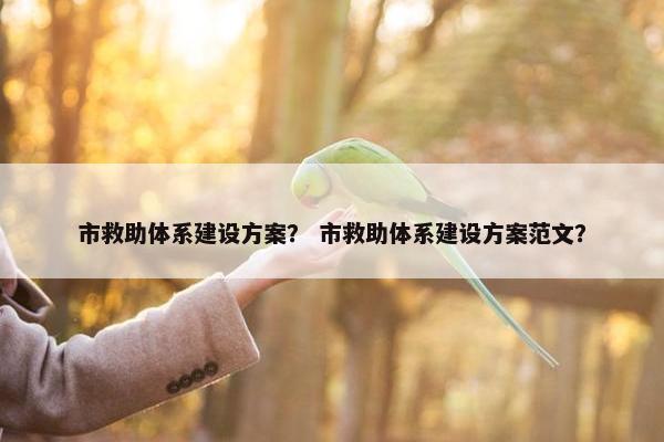 市救助体系建设方案？ 市救助体系建设方案范文？