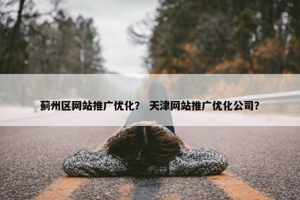 蓟州区网站推广优化？ 天津网站推广优化公司？