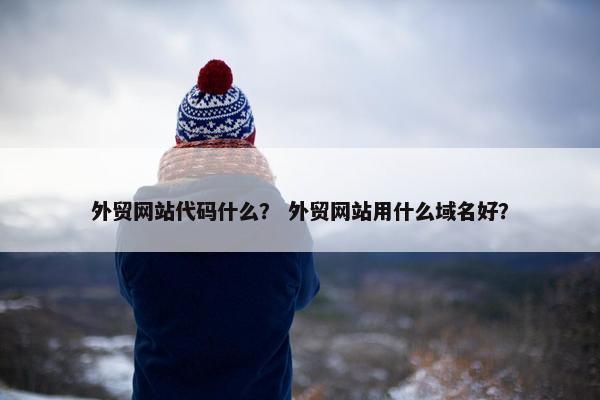 外贸网站代码什么？ 外贸网站用什么域名好？