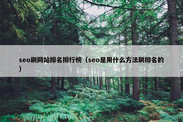 seo刷网站排名排行榜（seo是用什么方法刷排名的）