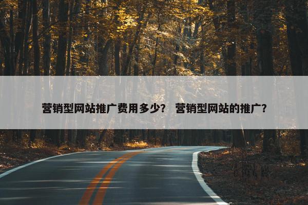 营销型网站推广费用多少？ 营销型网站的推广？