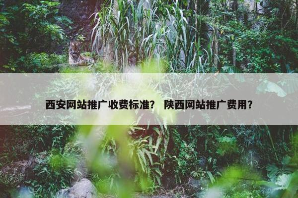 西安网站推广收费标准？ 陕西网站推广费用？