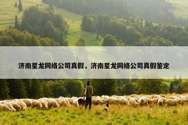 济南星龙网络公司真假，济南星龙网络公司真假鉴定