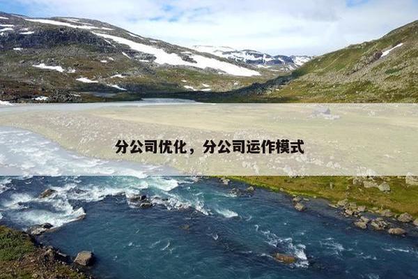 分公司优化，分公司运作模式