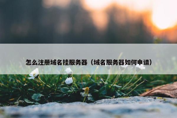 怎么注册域名挂服务器（域名服务器如何申请）